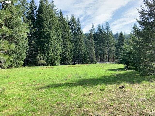 White Salmon, WA 98672,Daisy LN #Lot 2