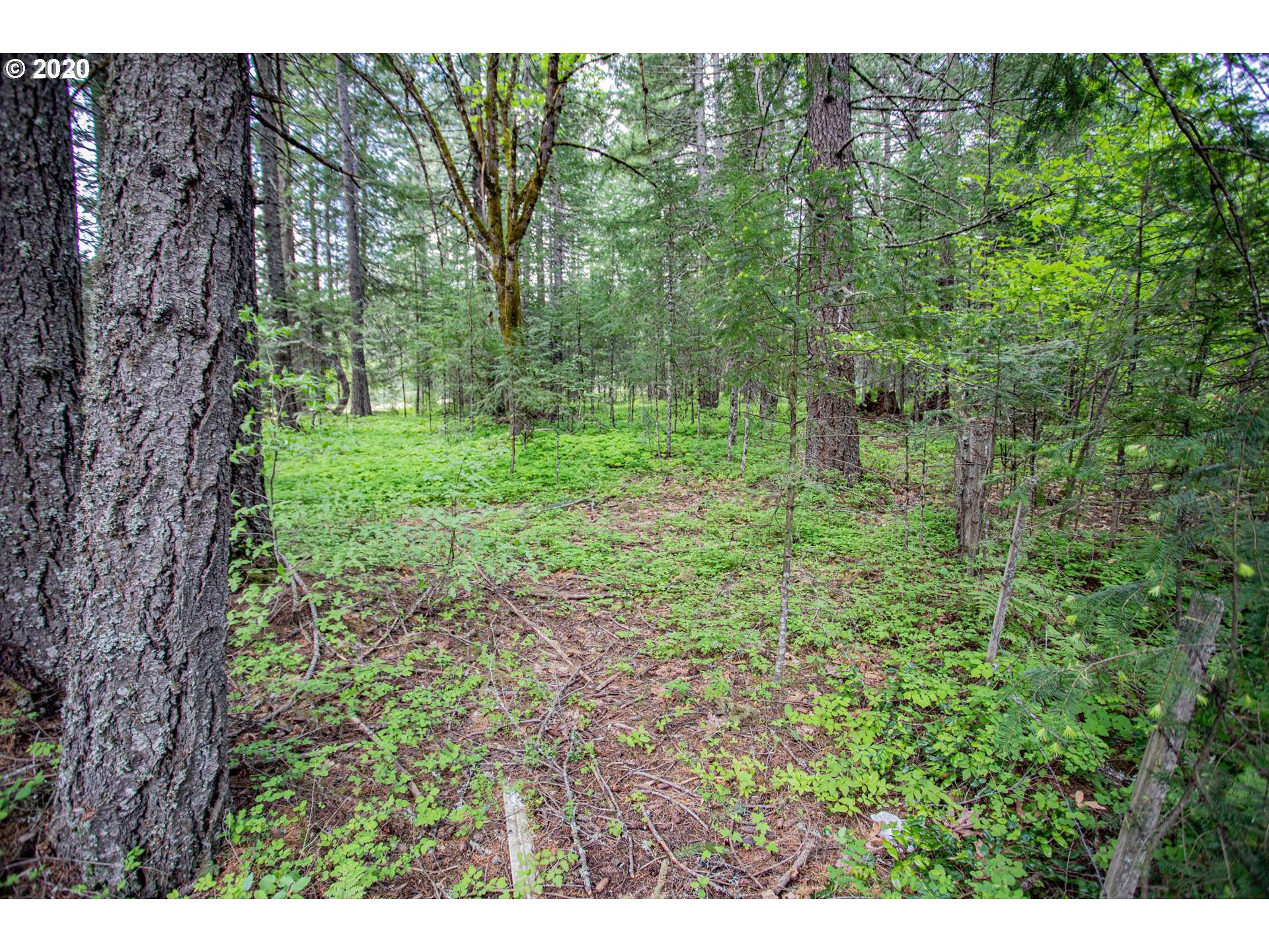 White Salmon, WA 98672,Daisy LN #Lot 2