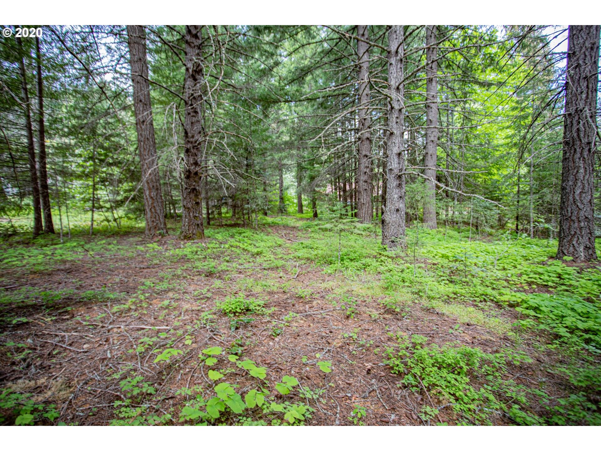 White Salmon, WA 98672,Daisy LN #Lot 2