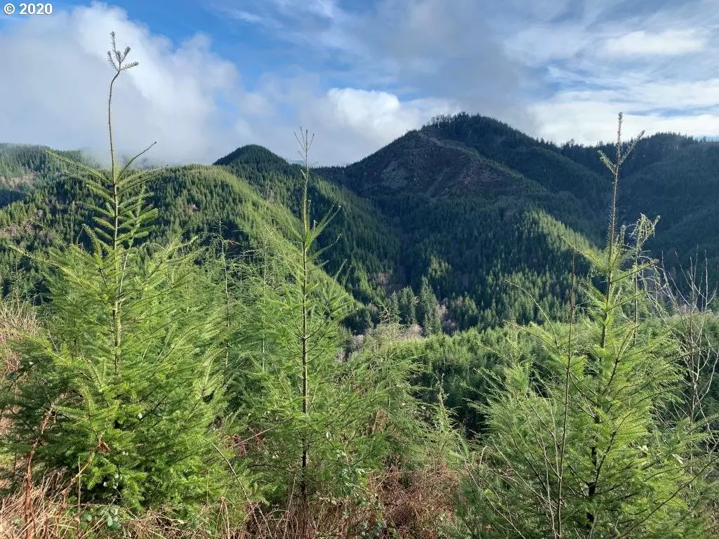 Gleneden Beach, OR 97388,Euchre Mt