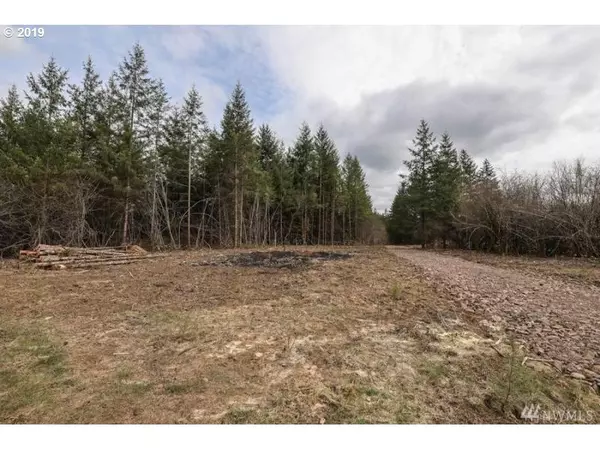 Winlock, WA 98596,BREMGARTNER RD #Lot 6