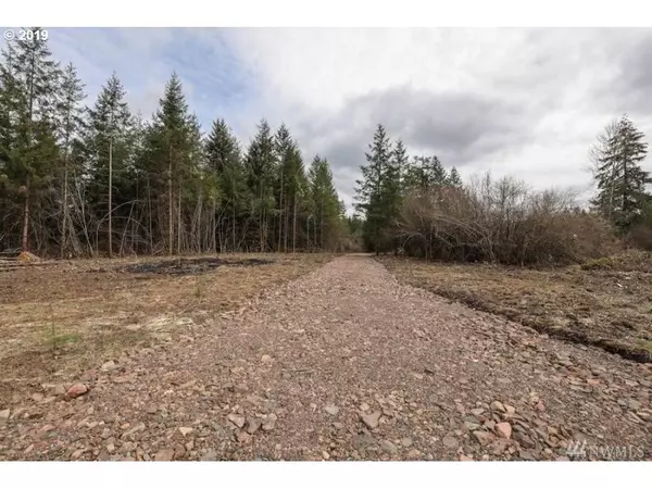 Winlock, WA 98596,BREMGARTNER RD #Lot 6