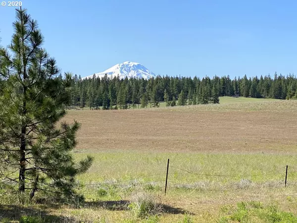 Goldendale, WA 98620,Pine Forest RD #4