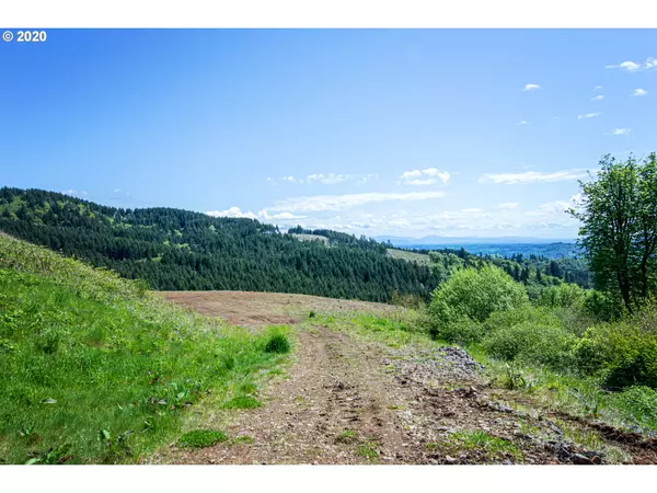 Kalama, WA 98625,321 Rocky Top RD