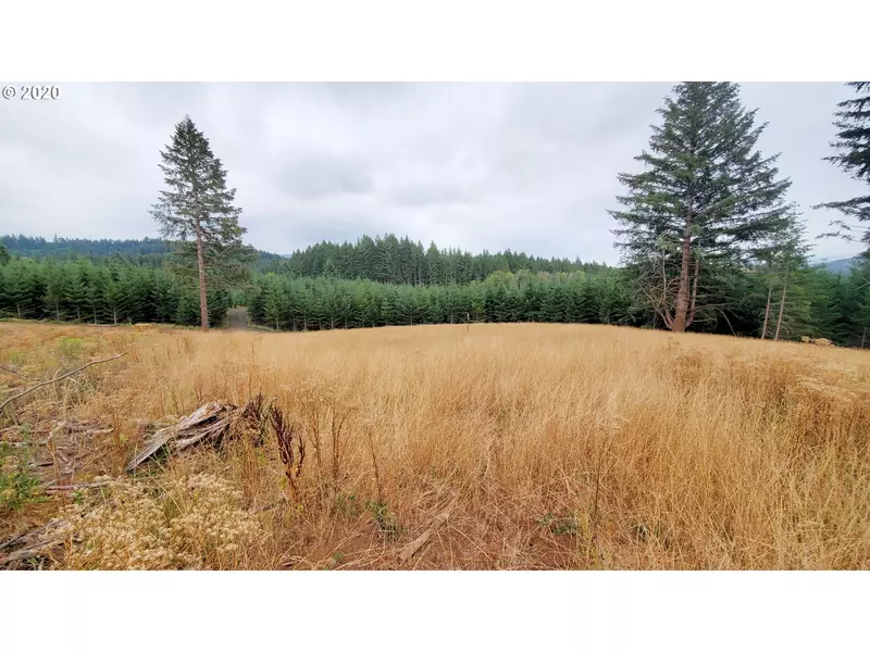 Hileman RD #300, Marcola, OR 97454