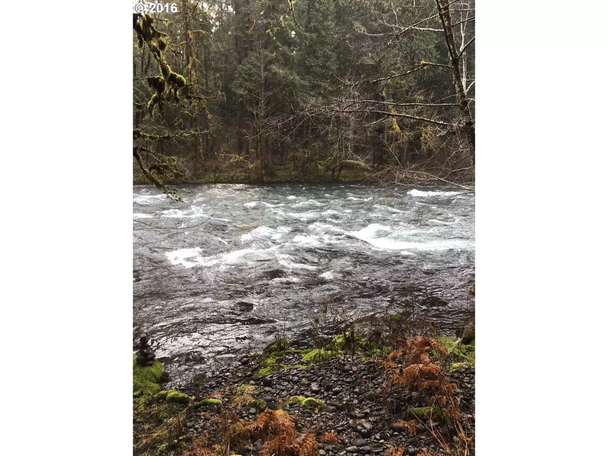 Mc Kenzie Bridge, OR 97413,55690 McKenzie River DR