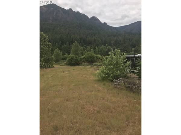 Cascade Locks, OR 97014,1148 SE CHINOOKAN DR #30