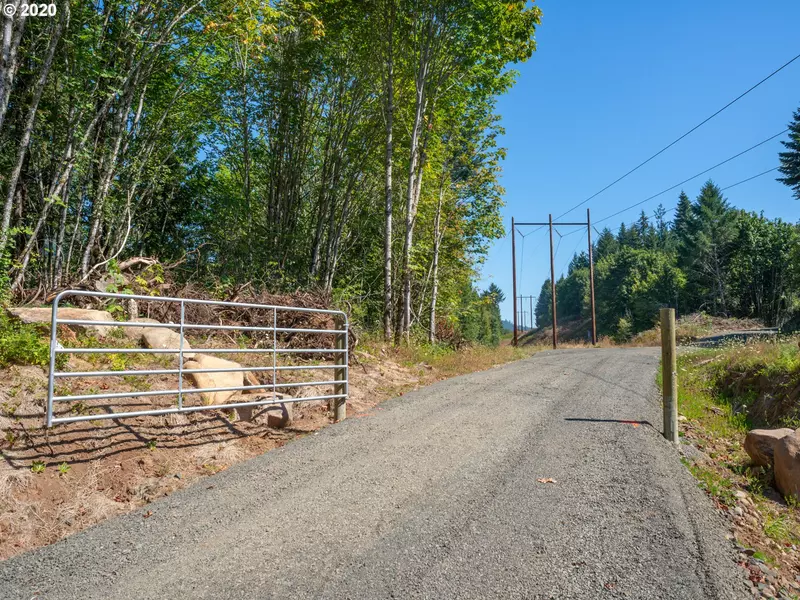 Deerhorn RD #3, Leaburg, OR 97489