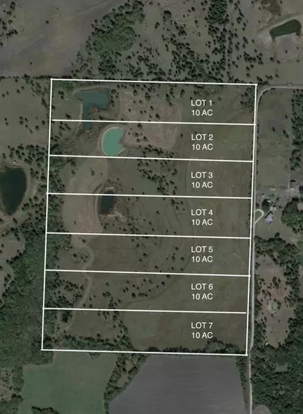 Lot 5 County Rd 3550, Honey Grove, TX 75446