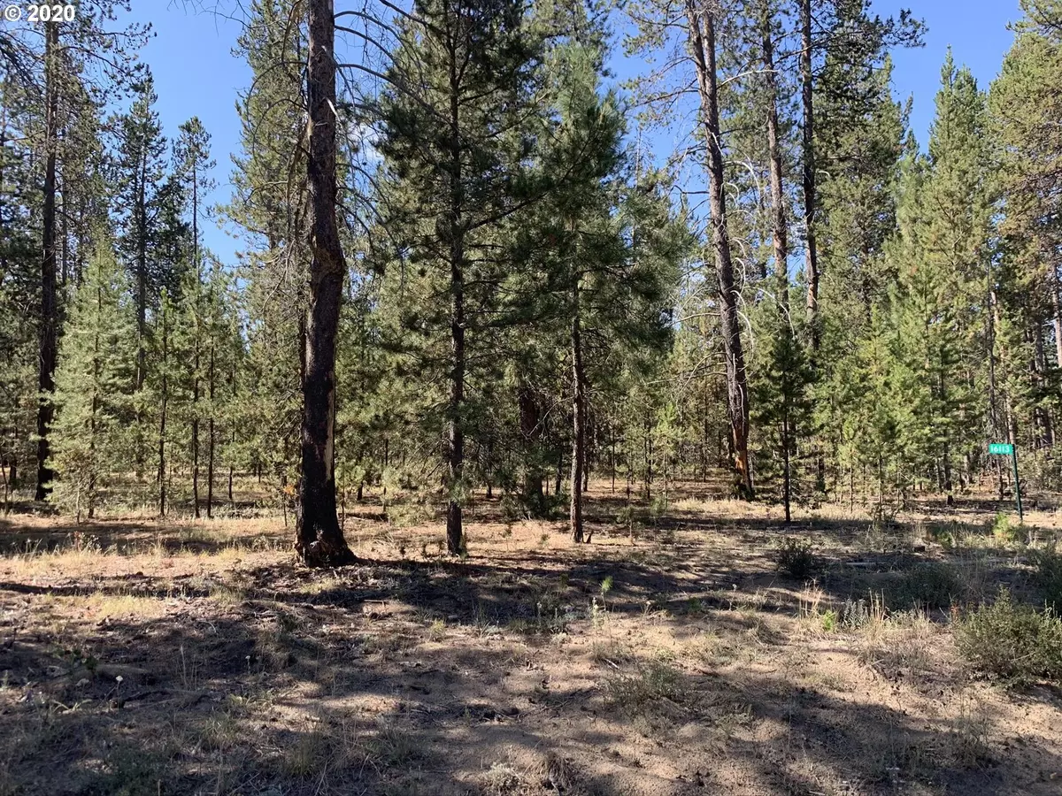 La Pine, OR 97739,16113 SPARKS DR