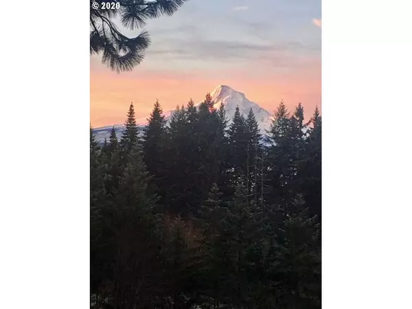 Mt Hood Prkdl, OR 97041,4380 BALDWIN CREEK DR