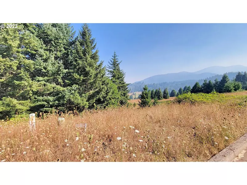 Hiland Ranch DR #3200, Oakridge, OR 97463