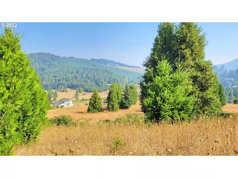 Hiland Ranch DR #2900, Oakridge, OR 97463