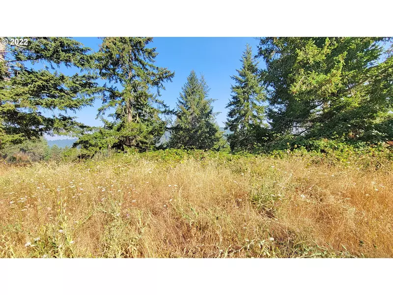 Hiland Ranch DR #3600, Oakridge, OR 97463