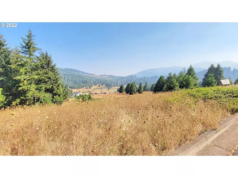 Hiland Ranch DR #3100, Oakridge, OR 97463