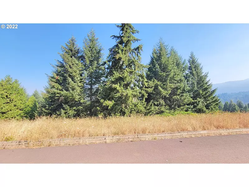 Hiland Ranch DR #3300, Oakridge, OR 97463