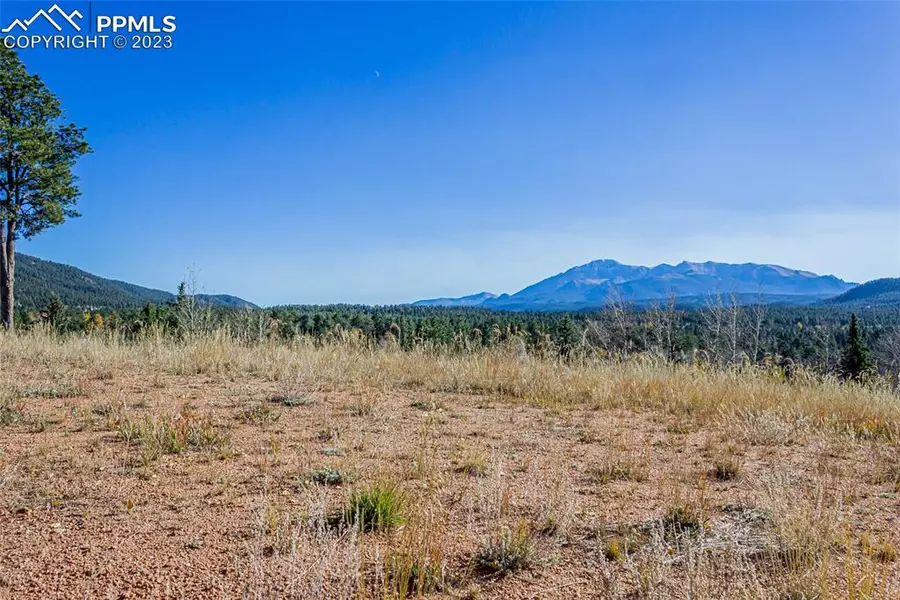 300 Apache TRL, Woodland Park, CO 80863