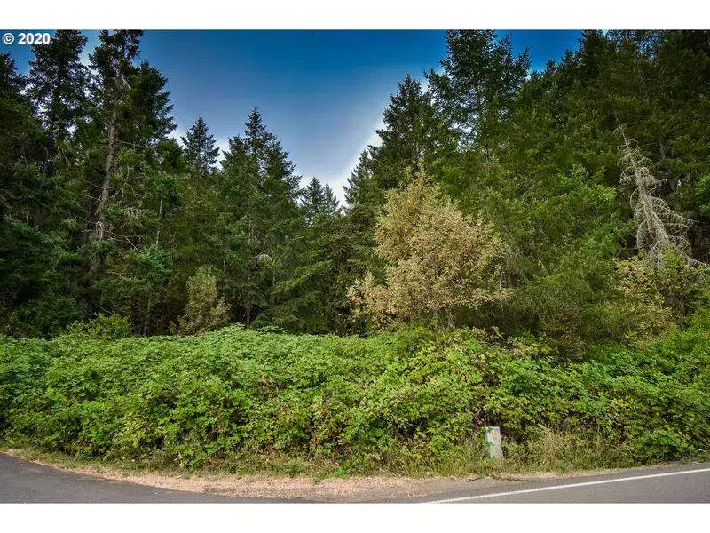 0 SOUTH SIDE RD #300, Sutherlin, OR 97479