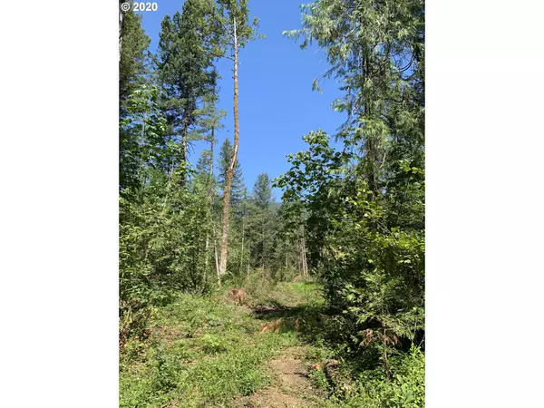 Blue River, OR 97413,McKenzie River DR #800