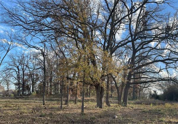 TBD LOT 38 Nicklaus Drive, Sulphur Springs, TX 75482