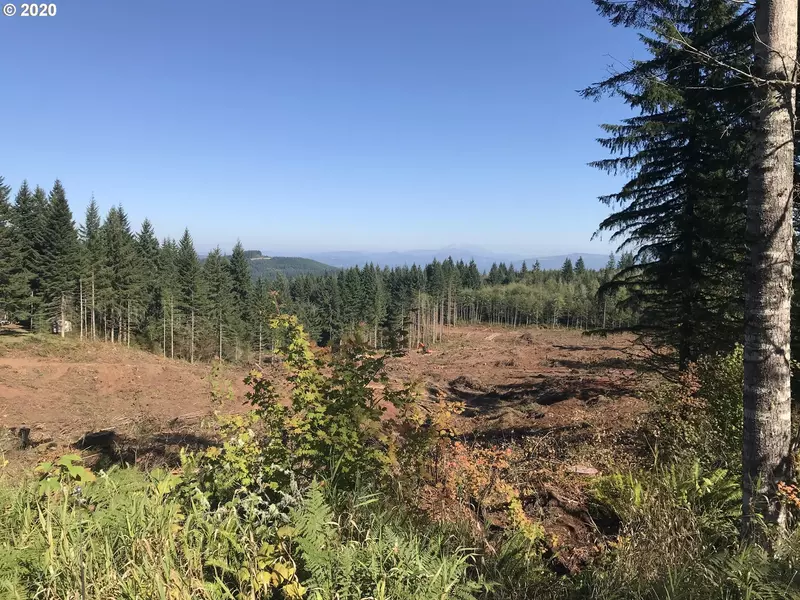 Meissner RD, Rainier, OR 97048