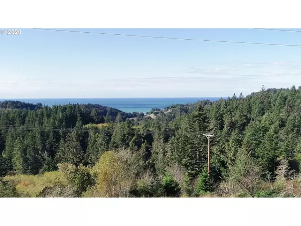 Gold Beach, OR 97444,28314 EMERALD DR