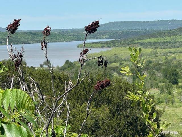 Possum Kingdom Lake, TX 76449,Lot 161 N Canyon Wren