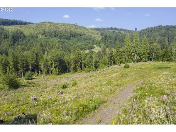 53321 E MARMOT RD, Sandy, OR 97055