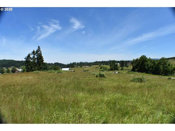 83145 RATTLESNAKE RD, Dexter, OR 97431