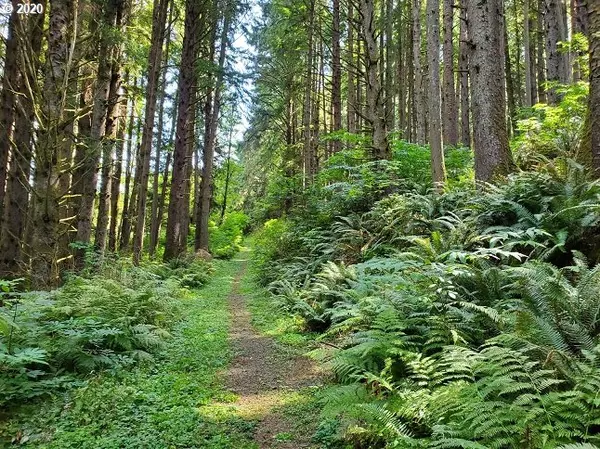 Reservoir RD #301, Cannon Beach, OR 97110