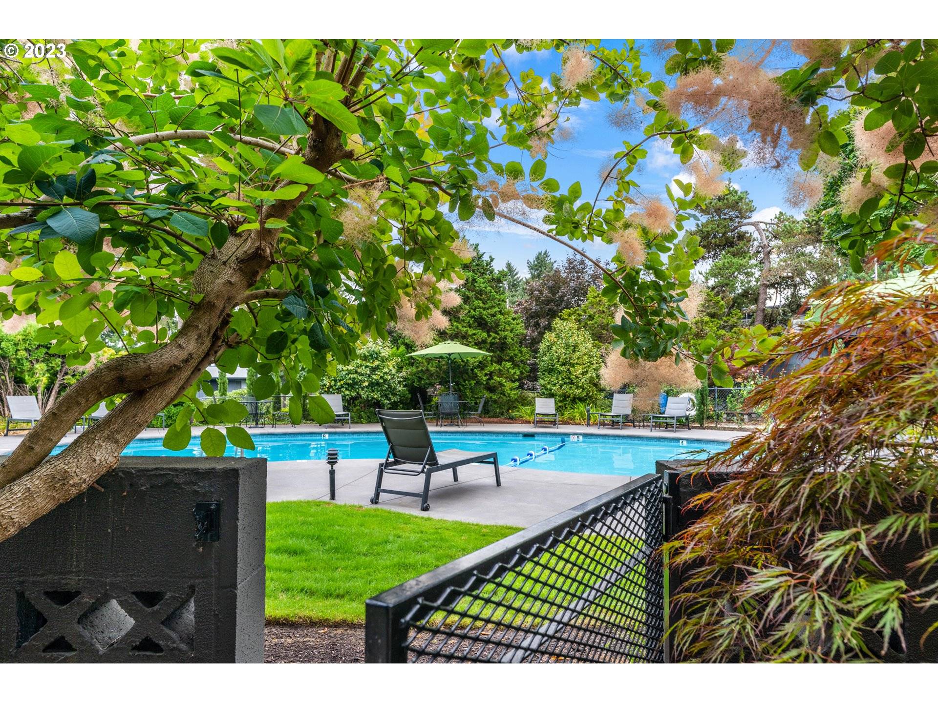 Lake Oswego, OR 97034,16250 PACIFIC HWY #46