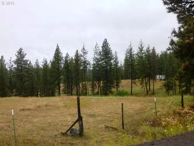 74286 THOMPSON RD, Elgin, OR 97827