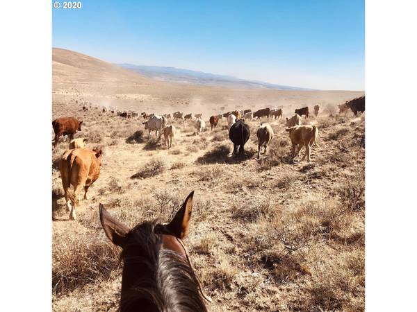 TBD Rome,  Jordan Valley,  OR 97910