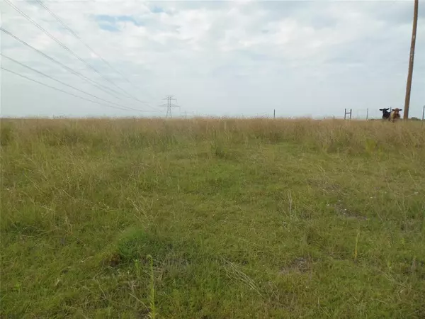 Farmersville, TX 75442,Lot 12 County Road 662