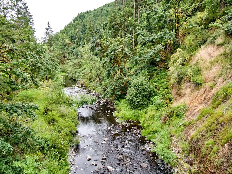 0 Silver Creek Canyon, Silverton, OR 97381