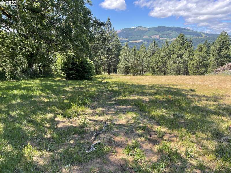 NW Howard CT #Lot 4, White Salmon, WA 98672