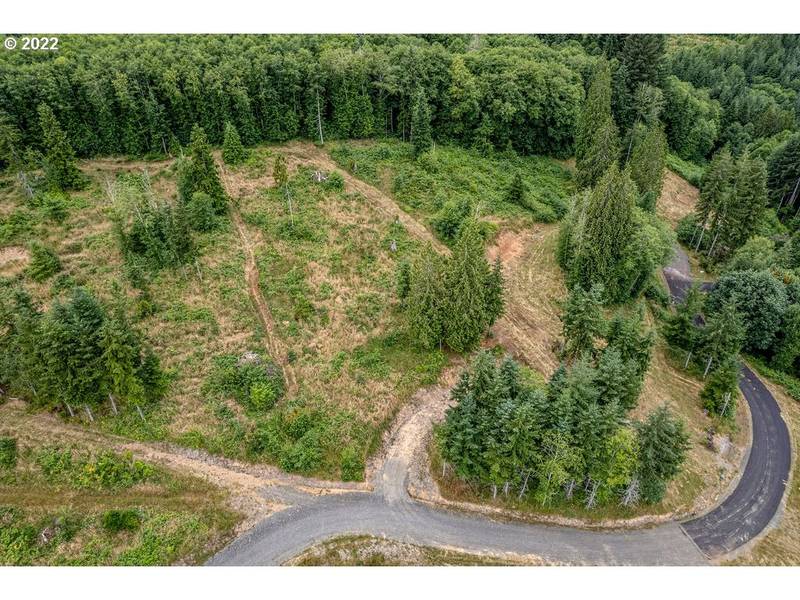 1 Bison Run, Longview, WA 98632