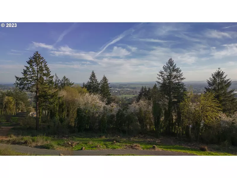 29820 NE MOUNTAIN TOP RD, Newberg, OR 97132