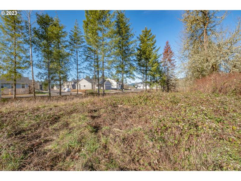 1355 45th AVE #Lot15, Sweet Home, OR 97386