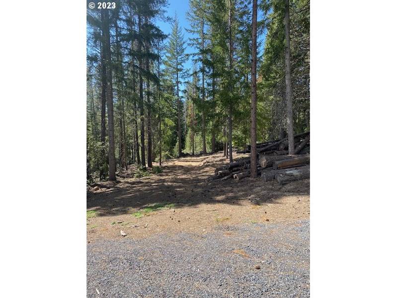 9 Diamond Peaks DR, Crescent Lake, OR 97733