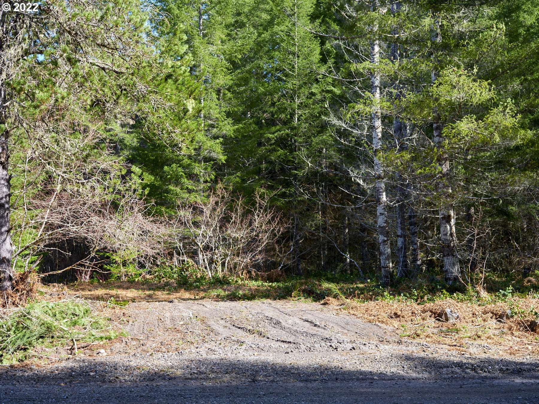 Cougar, WA 98616,Lahar LN #8