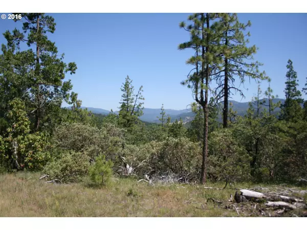 0 CITADEL RD, Trail, OR 97541