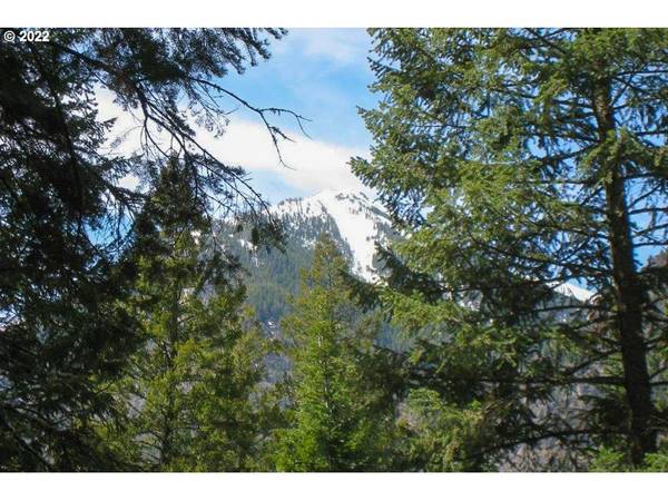 Wallowa Lake, OR 97846,0 Tram LN