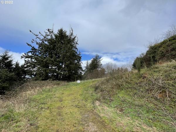 Bay City, OR 97107,South Ridge #Lot46