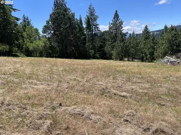 White Salmon, WA 98672,NW Howard CT #Lot 4