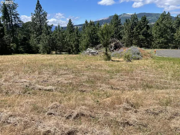 White Salmon, WA 98672,NW Howard CT #Lot 4