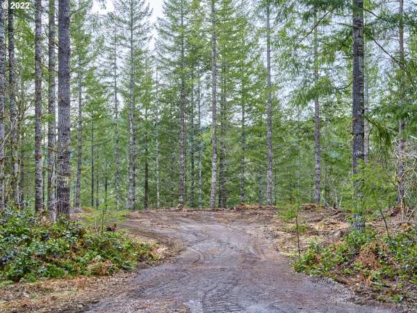 Cougar, WA 98616,2 Lahar LN