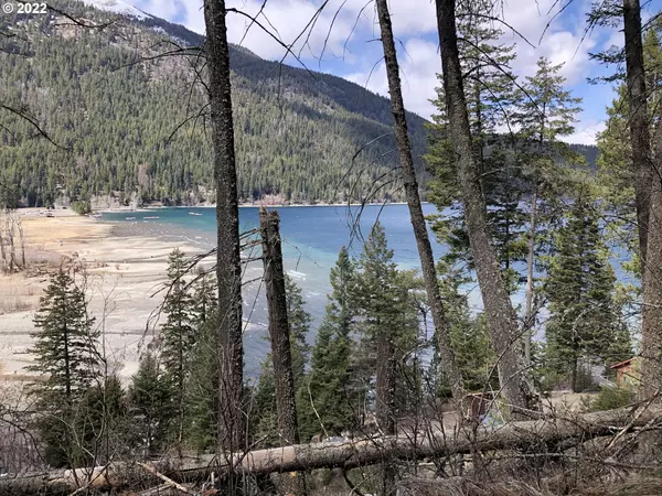 Wallowa Lake, OR 97846,0 WALLOWA LAKE HWY #101