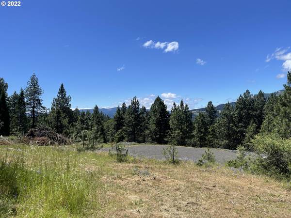 NW Howard CT #Lot 3, White Salmon, WA 98672