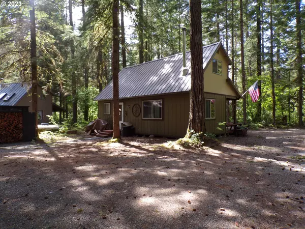 Cabin 51 Northwoods, Cougar, WA 98616